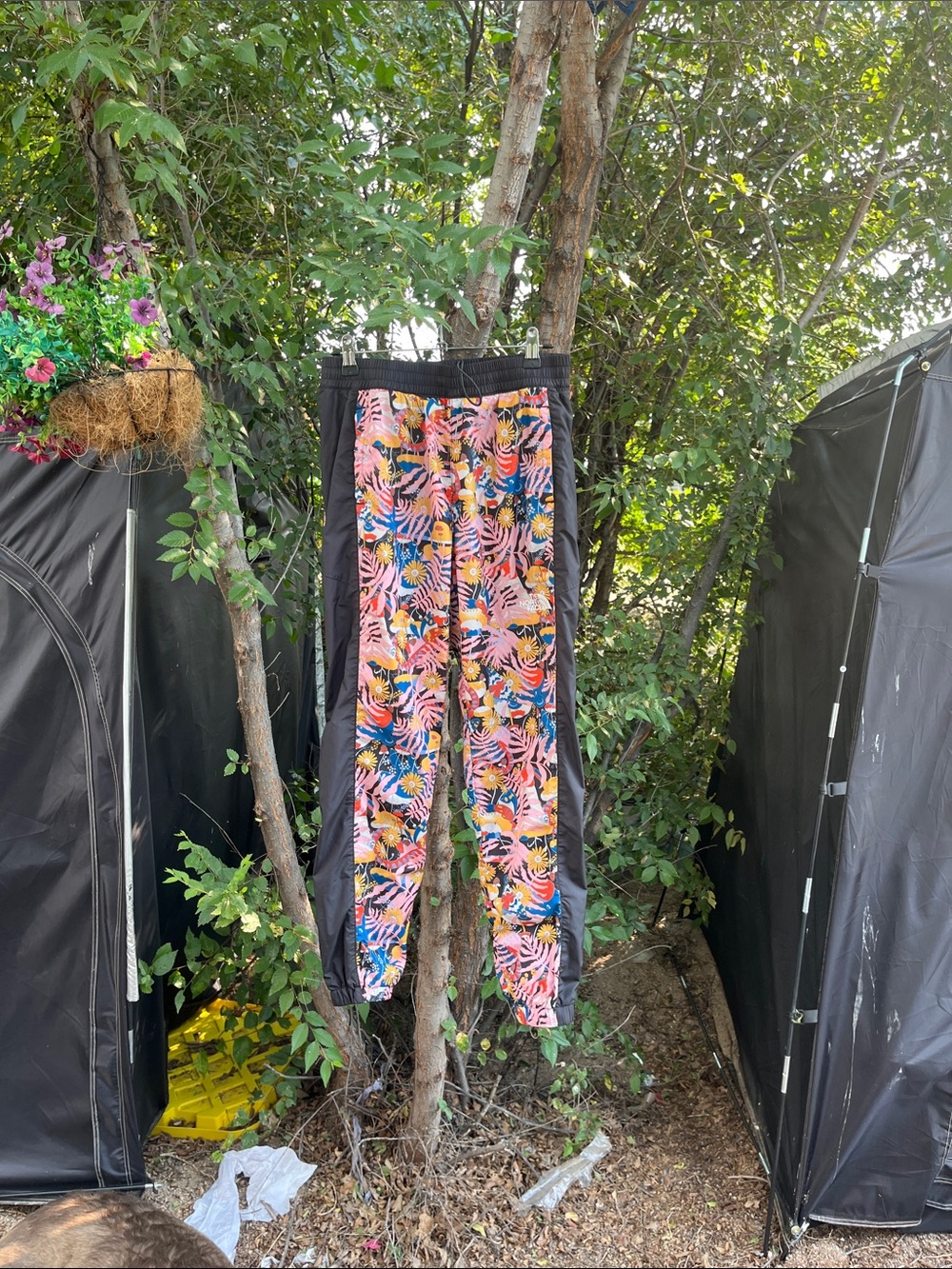 Tropical Floral Jogger Pants in Pink, Blue & Yellow